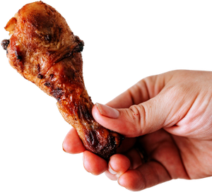 A hand holding a chicken wing